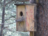 P1020183.JPG