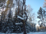 DSCN5631.JPG