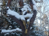 DSCN5632.JPG