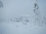 DSCN1605.JPG