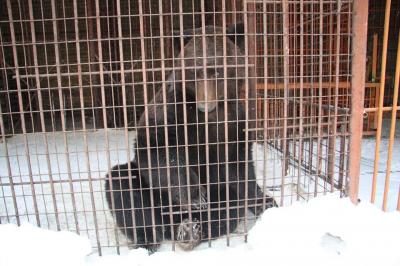 �������� ������������� ����� ������� �� �������