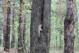 IMG_7825.JPG