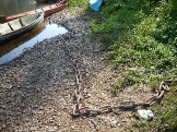 DSCN5194.JPG