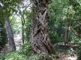 DSCN2578.JPG