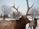 DSCN1665.JPG