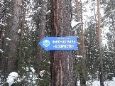 DSCN6198.JPG