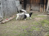 DSCN2181.JPG
