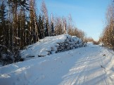 DSCN5568.JPG
