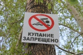 IMG_7794.JPG