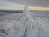 DSCN1399.JPG