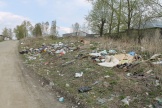 IMG_7747.JPG