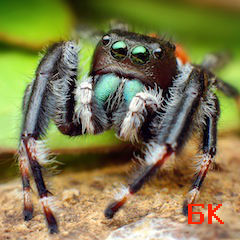 ������� ���� ����� ������� � �����!  11 �������