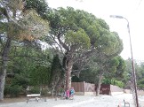 DSCN2400.JPG