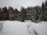 DSCN6200.JPG