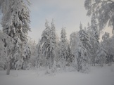 DSCN1519.JPG