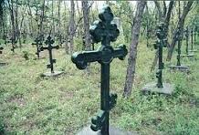 ����������� ���������� ���������� ���� �� �����������