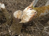 DSCN2187.JPG