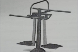 ������� ������������� ����������� �������, ����������� ����� ���������