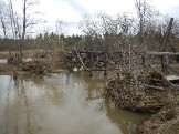 DSCN2171.JPG