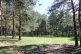 IMG_7907.JPG