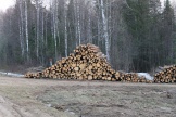 IMG_7690.JPG