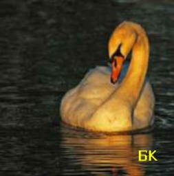 ������� ���� ����� ������� � �����!  22 ������