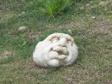 DSCN2655.JPG