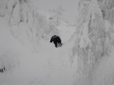 DSCN1596.JPG