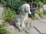 DSCN2657.JPG