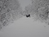 DSCN5487.JPG