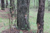IMG_7824.JPG