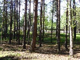 P1020666.JPG