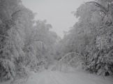 DSCN1595.JPG
