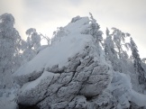 DSCN1518.JPG