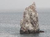 DSCN2476.JPG