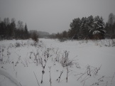 DSCN1501.JPG