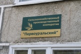 IMG_7711.JPG