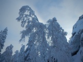 DSCN1520.JPG