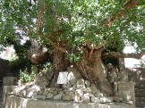 DSCN2572.JPG