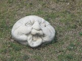 DSCN2654.JPG