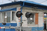 IMG_7765.JPG