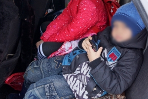 ���������� ���������������� ������������� �������� ���������������� ����������� �� �������� ������ ��������� �����