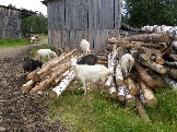 P1020682.JPG