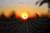 ������ ���� ����� ������� � �����!  24 ��������