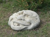DSCN2656.JPG
