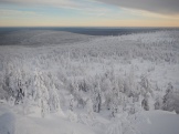 DSCN1394.JPG