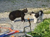 P1020106.JPG