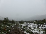 P1020612.JPG