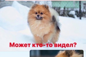 ������� ������