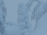 DSCN1601.JPG